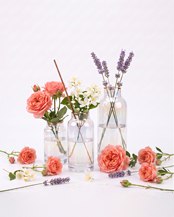 دکور و فضای خانه